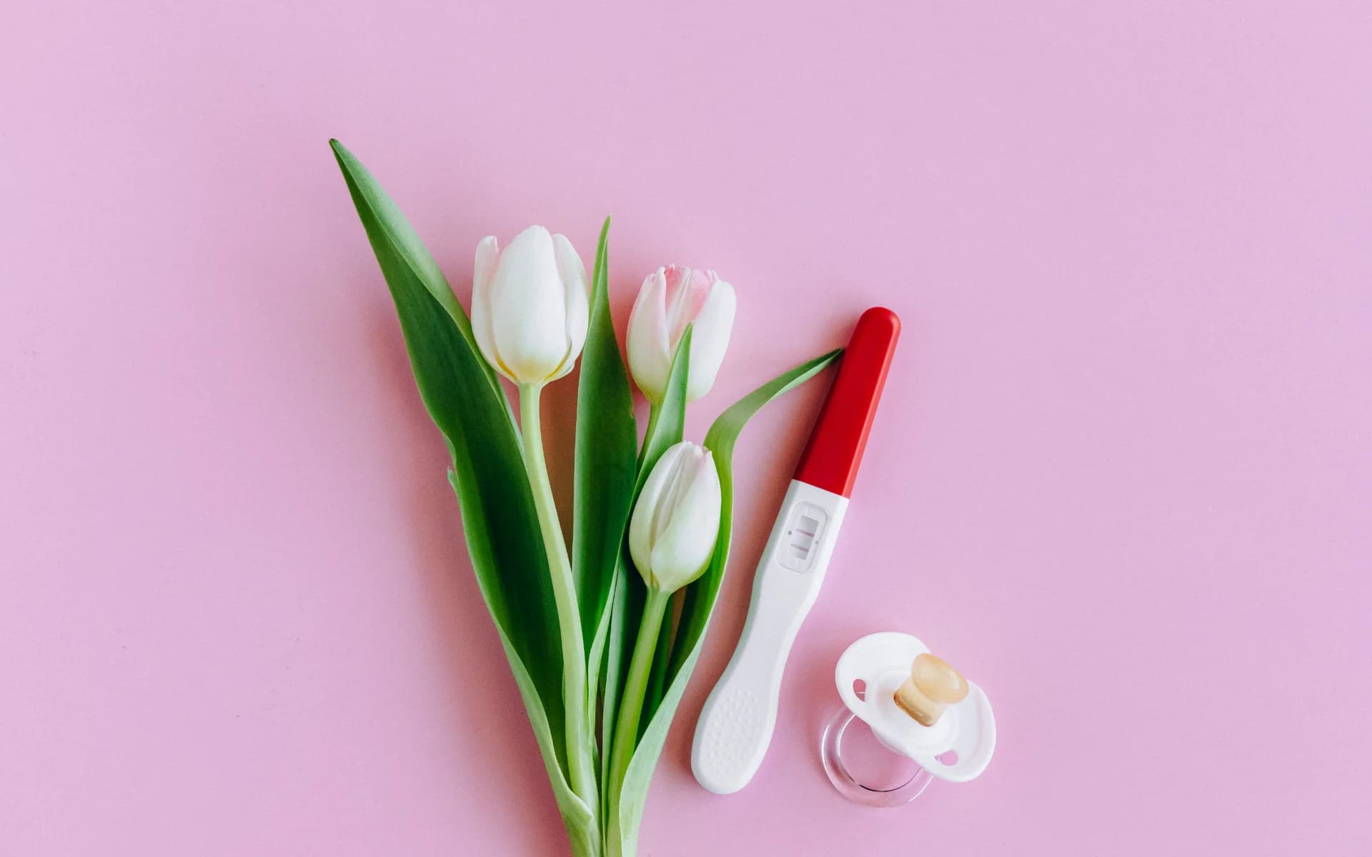 A pregnancy test showing a single line, laid out with white tulips and a baby's pacifier